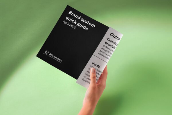 Studiu de Caz: Bricolando.ro