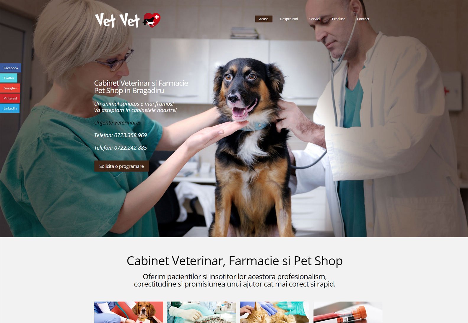 Clinică locală - Website nou + pagini servicii + SEO local + Google Ads.