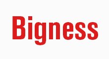 Bigness Group